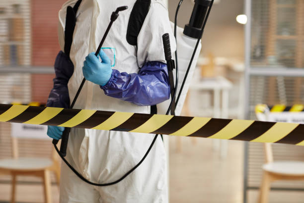 Professional Biohazard technician working in Tollhouse, CA